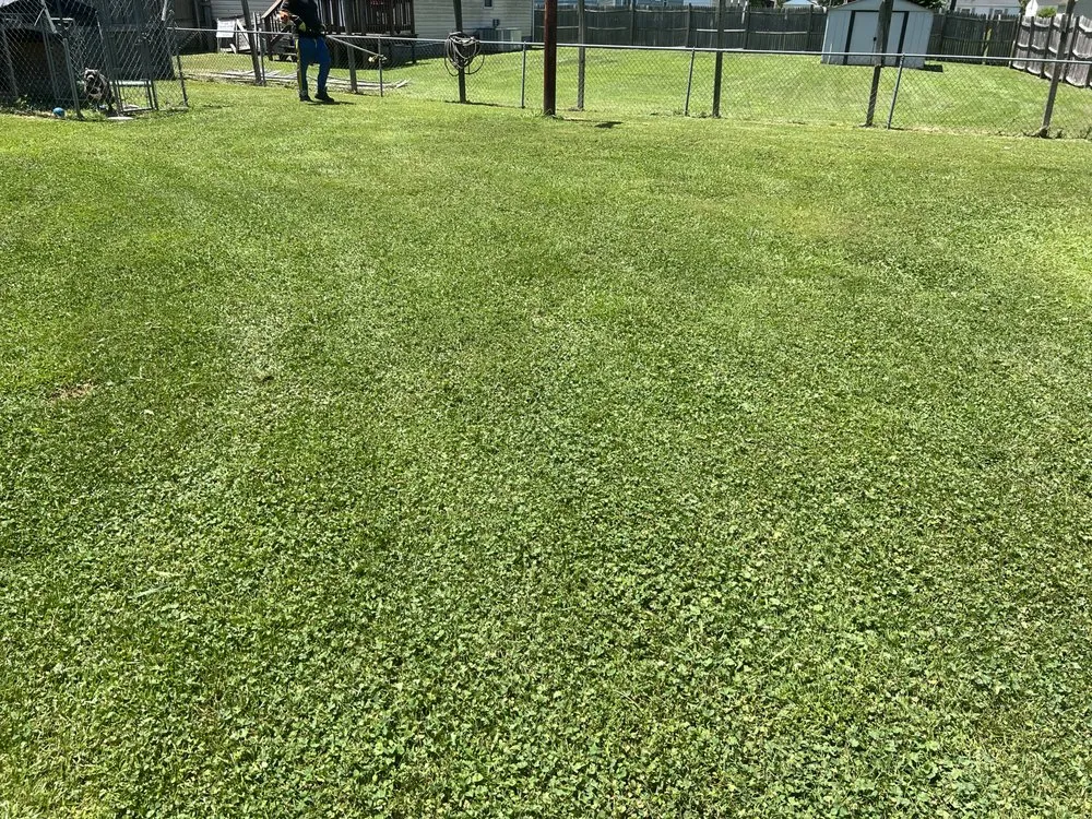 Trusted lawn mowing service experts serving Hampton, VA - First Class Cuts