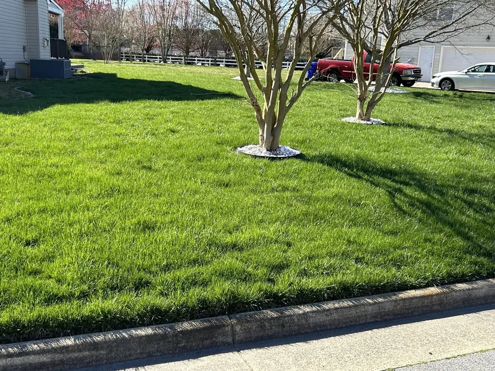 Local landscape design in Hampton, VA by First Class Cuts