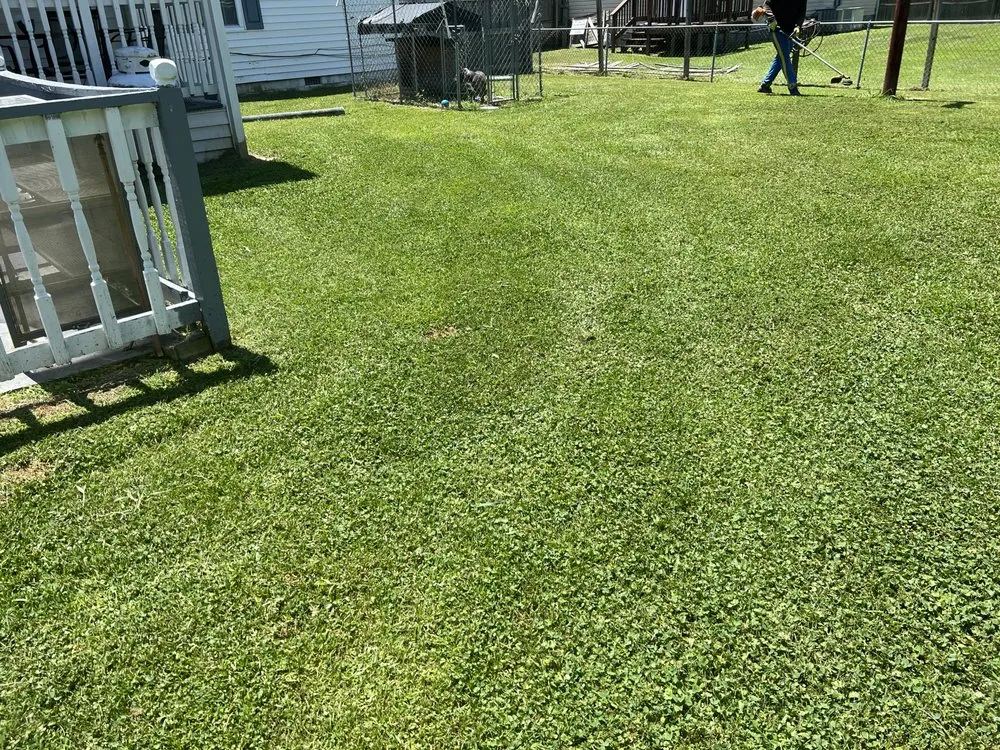 Professional garden landscaping experts serving Hampton, VA - First Class Cuts