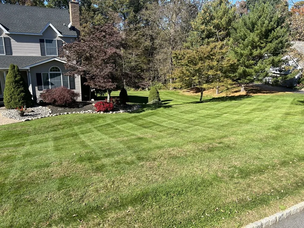 Custom yard maintenance for outdoor upgrades in Bethlehem, PA by First Class Grass