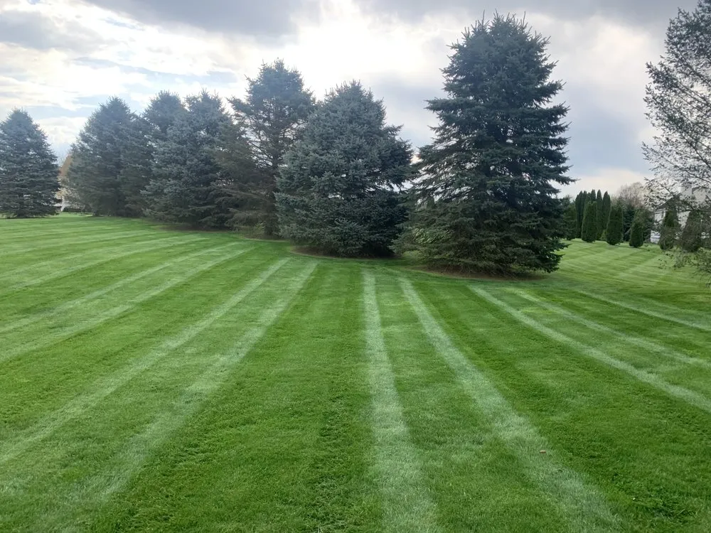 Reliable yard cleanup service experts serving Bethlehem, PA - First Class Grass