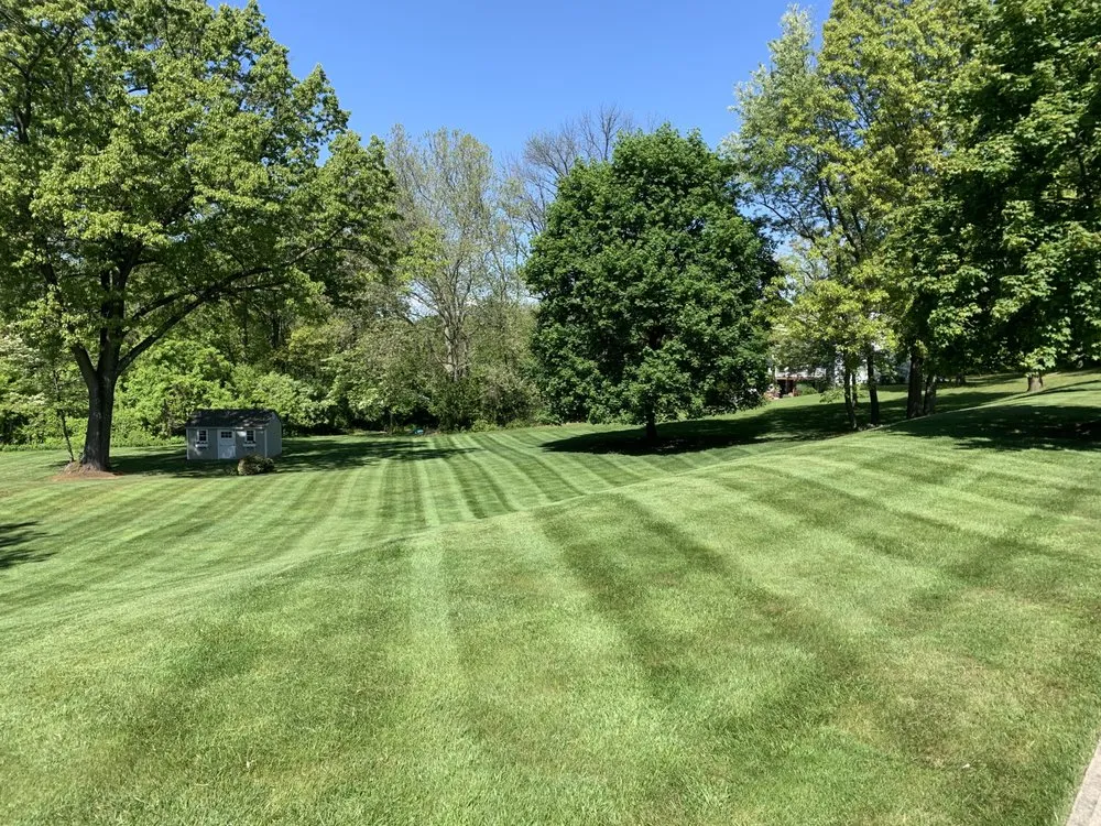 Local lawn care service in Bethlehem, PA - First Class Grass