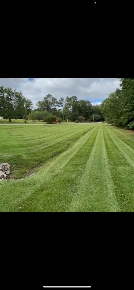 Trusted lawn care service for year-round maintenance in Sanford, NC by First Class Grass