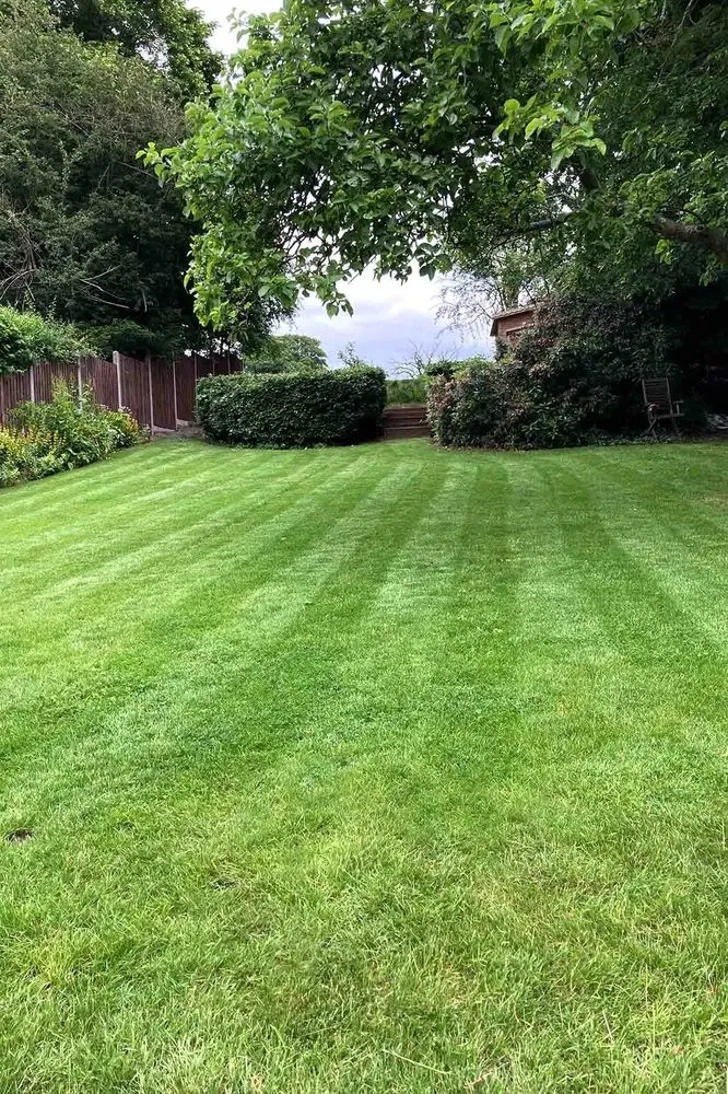 Top-rated landscaping services in Upper St. Clair, PA by First Class Grass