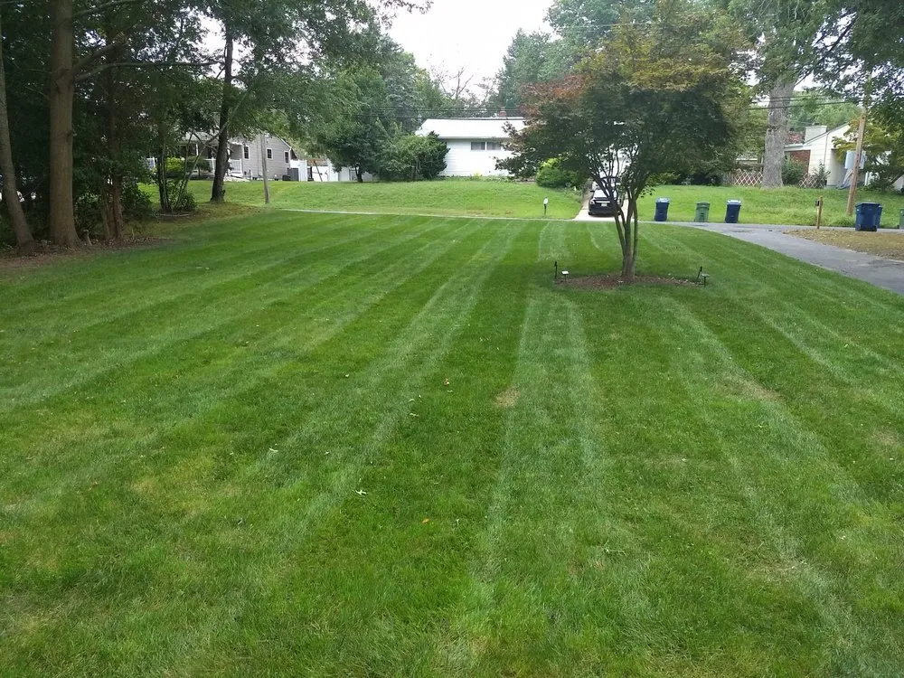 Affordable landscape installation experts serving Upper St. Clair, PA - First Class Grass