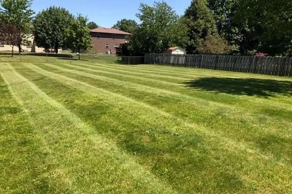 Professional yard maintenance for beautiful yards in Upper St. Clair, PA by First Class Grass