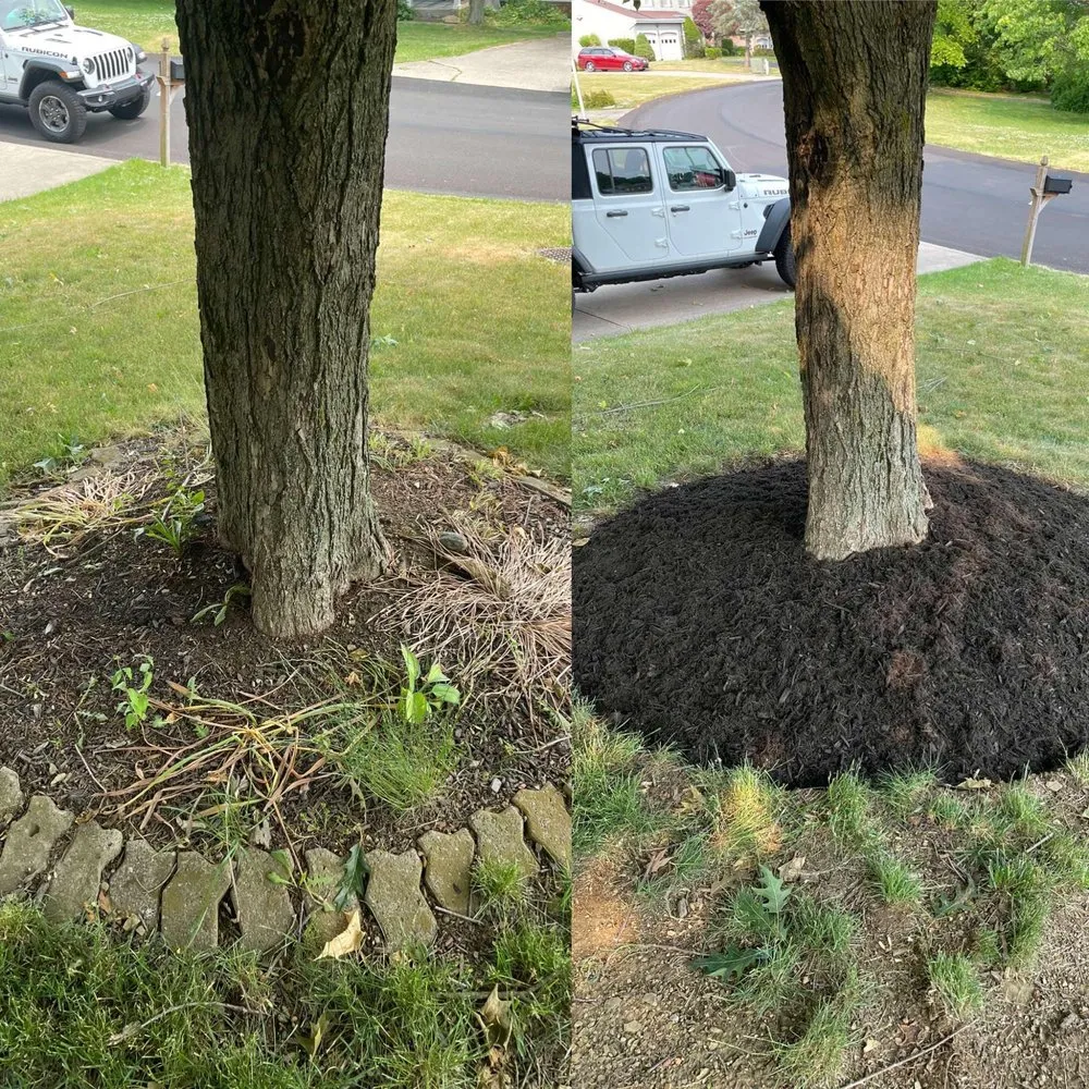 Affordable yard cleanup service for year-round maintenance in Bridgeville, PA by First Class Home and Lawncare