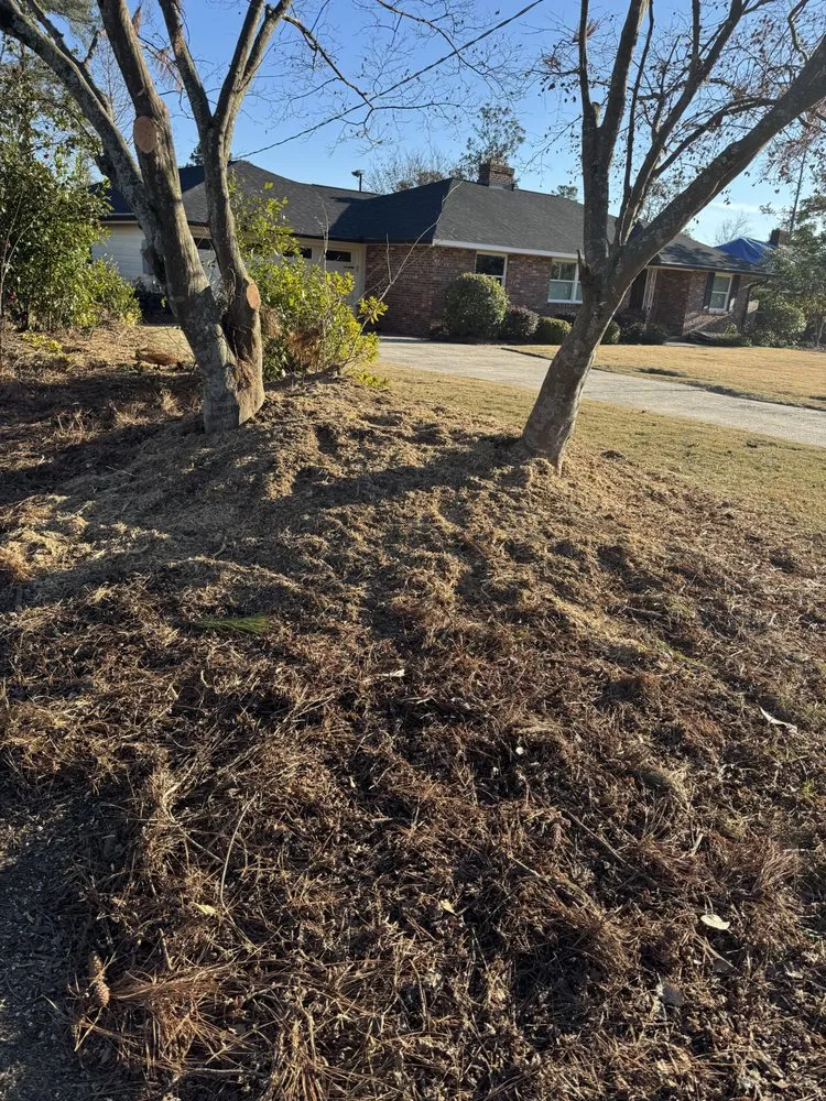 Expert lawn care service in Augusta, GA - First Class Land Solutions