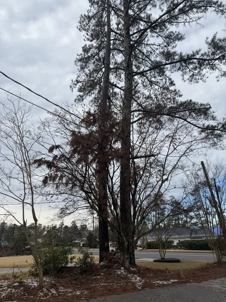 Local yard cleanup service for outdoor upgrades in Augusta, GA by First Class Land Solutions