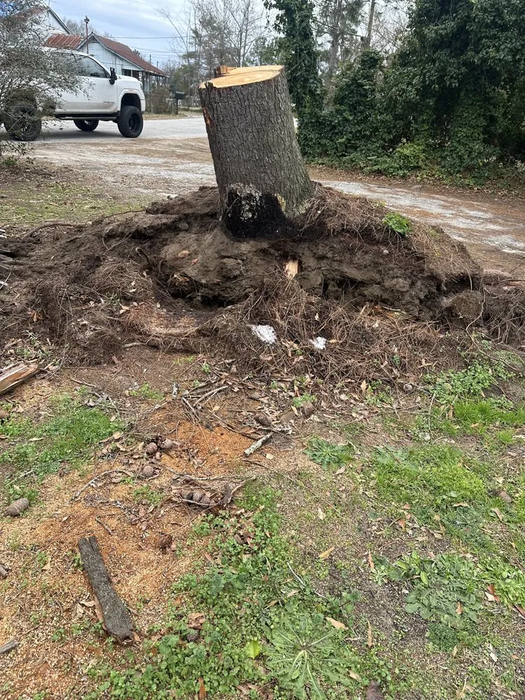 Trusted yard maintenance for homes in Augusta, GA by First Class Land Solutions