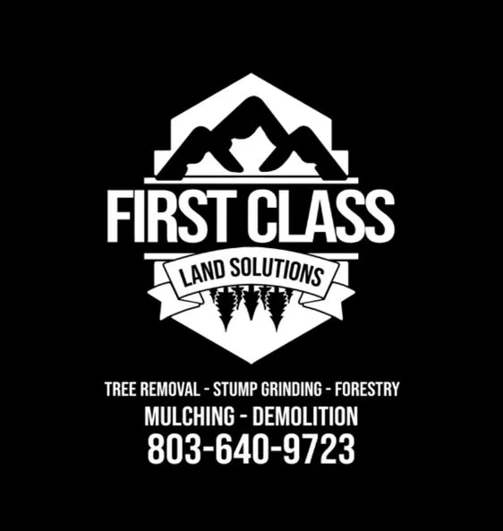 Trusted lawn care service for beautiful yards across Augusta, GA - First Class Land Solutions