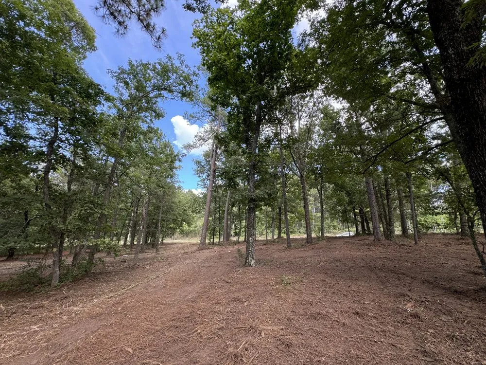 Reliable garden landscaping for year-round maintenance in Augusta, GA by First Class Land Solutions