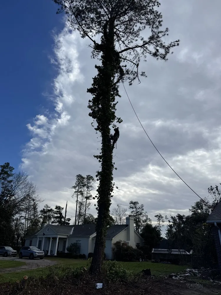 Top-rated yard maintenance in Augusta, GA - First Class Land Solutions