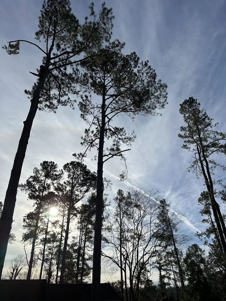 Affordable yard maintenance with custom design across Augusta, GA - First Class Land Solutions