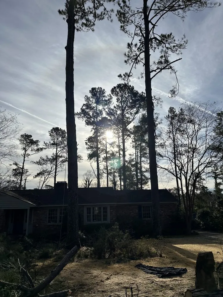 Trusted residential landscaping with custom design across Augusta, GA - First Class Land Solutions