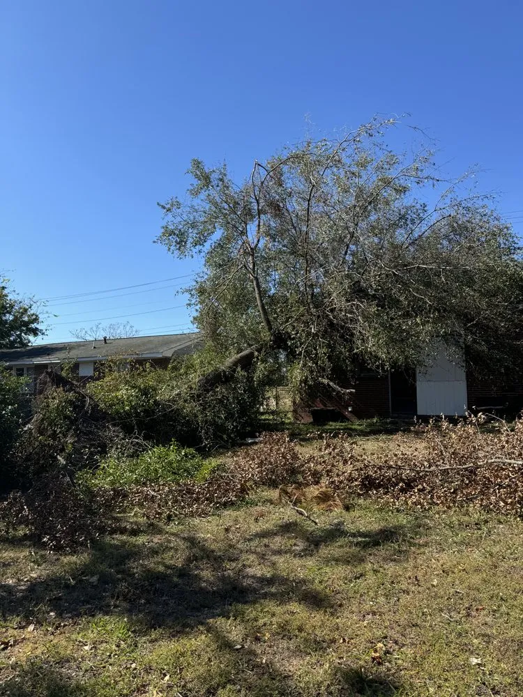 Expert yard cleanup service experts serving Augusta, GA - First Class Land Solutions