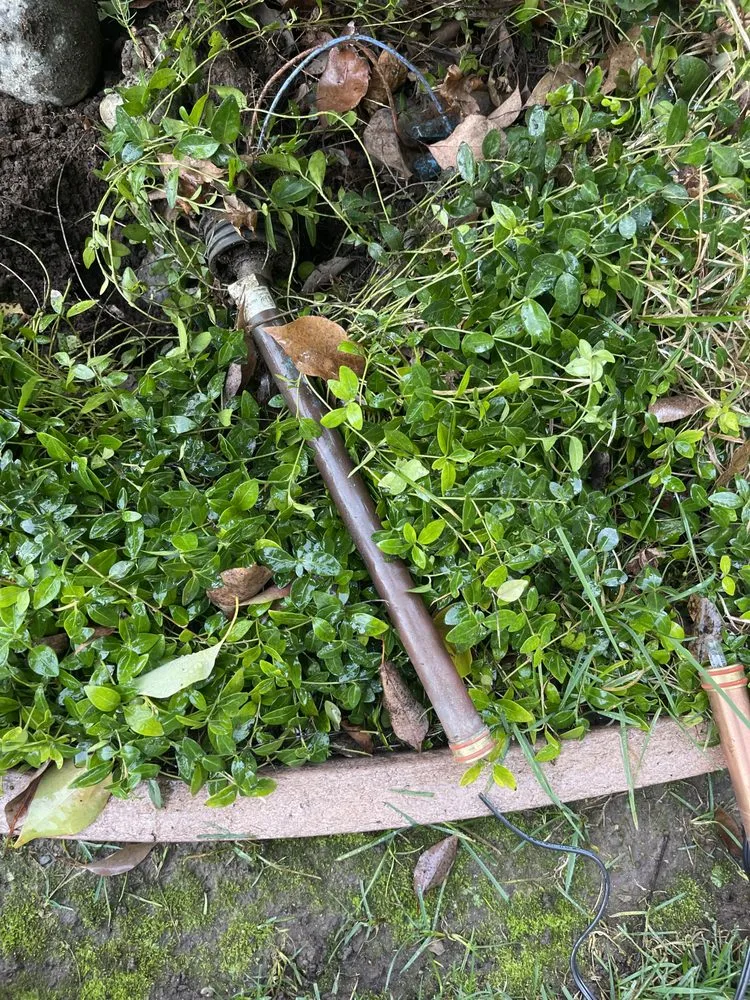 Affordable lawn mowing service in San Jose, CA - First Class Landscapes