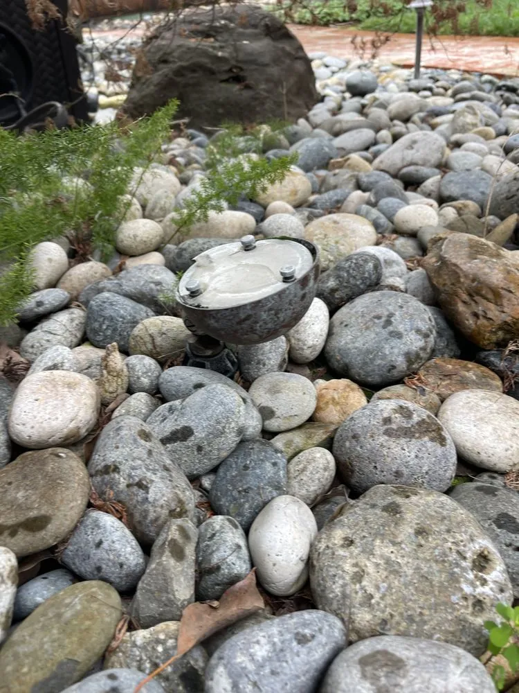 Professional yard cleanup service in San Jose, CA - First Class Landscapes