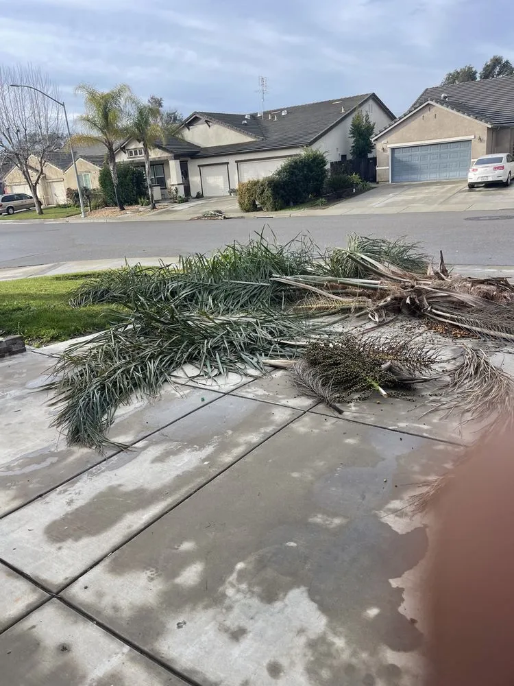 Expert outdoor landscaping in San Jose, CA - First Class Landscapes