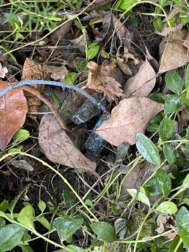 Professional garden landscaping in San Jose, CA by First Class Landscapes