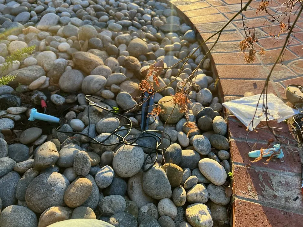 Custom lawn care service in San Jose, CA - First Class Landscapes