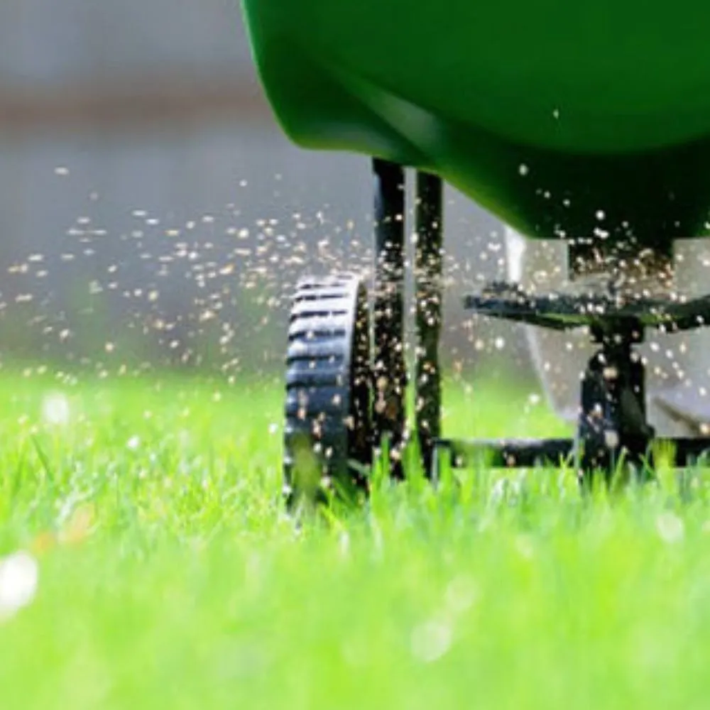 Top-rated yard cleanup service near you in Bend, OR by First Class Landscaping