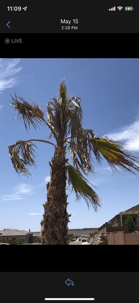 Expert outdoor landscaping for beautiful yards across Santa Clara, UT - First Class Landscaping