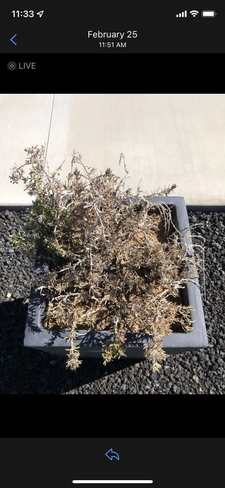 Top-rated landscape design in Santa Clara, UT by First Class Landscaping