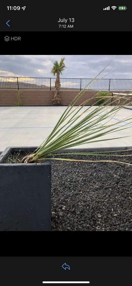 Reliable garden landscaping in Santa Clara, UT - First Class Landscaping