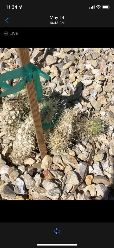 Trusted landscape design experts serving Santa Clara, UT - First Class Landscaping