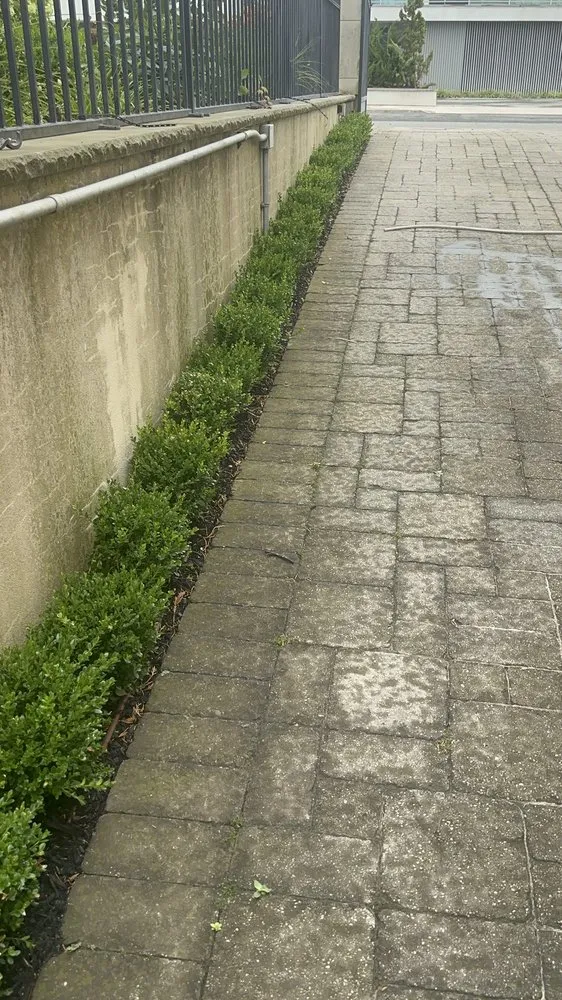 Expert landscaping services with custom design across Uniondale, NY - First Class Landscaping