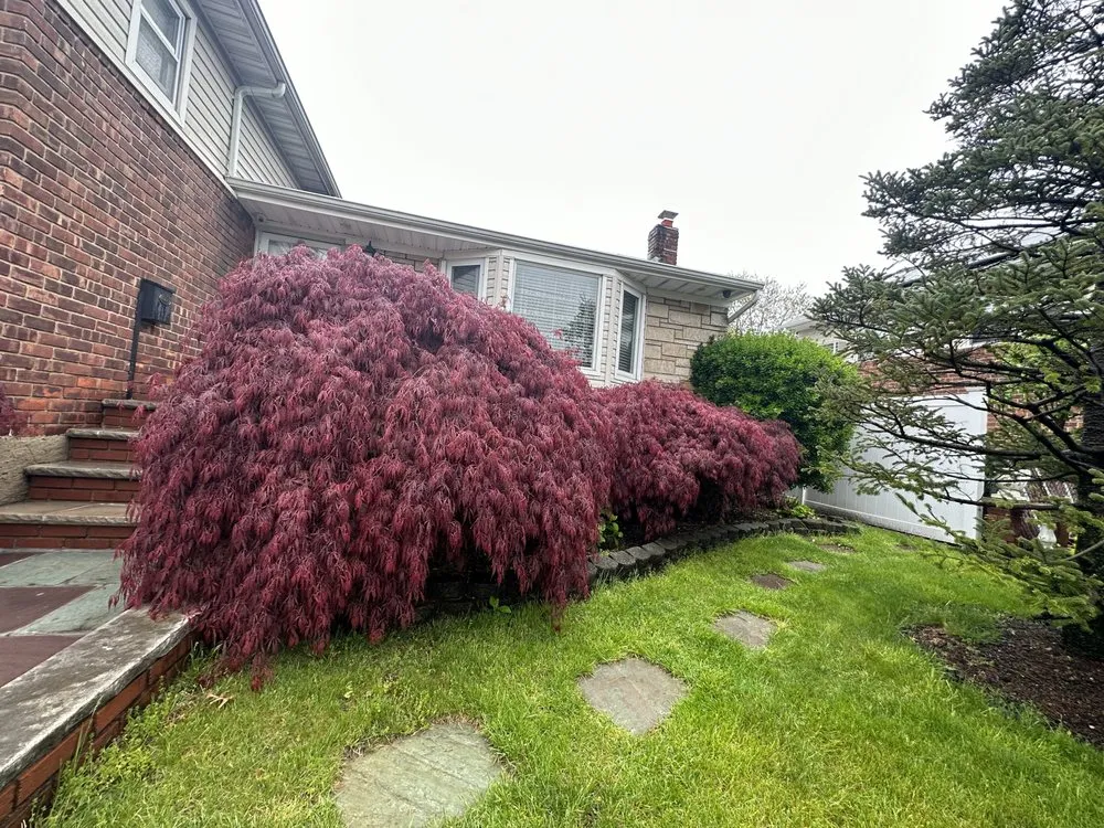 Professional outdoor landscaping near you across Uniondale, NY - First Class Landscaping