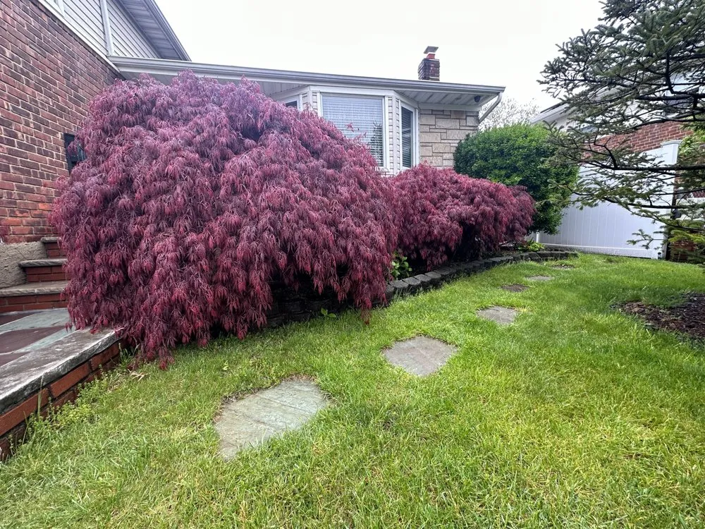 Trusted outdoor landscaping with custom design in Uniondale, NY by First Class Landscaping