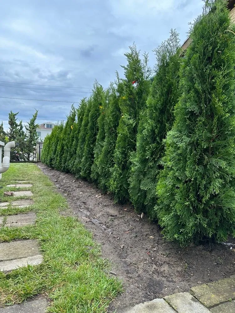 Top-rated yard cleanup service in Uniondale, NY by First Class Landscaping