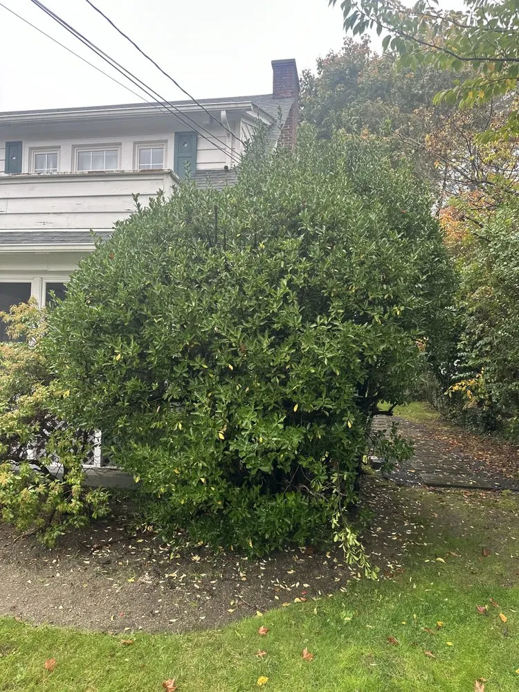 Custom outdoor landscaping experts serving Uniondale, NY - First Class Landscaping