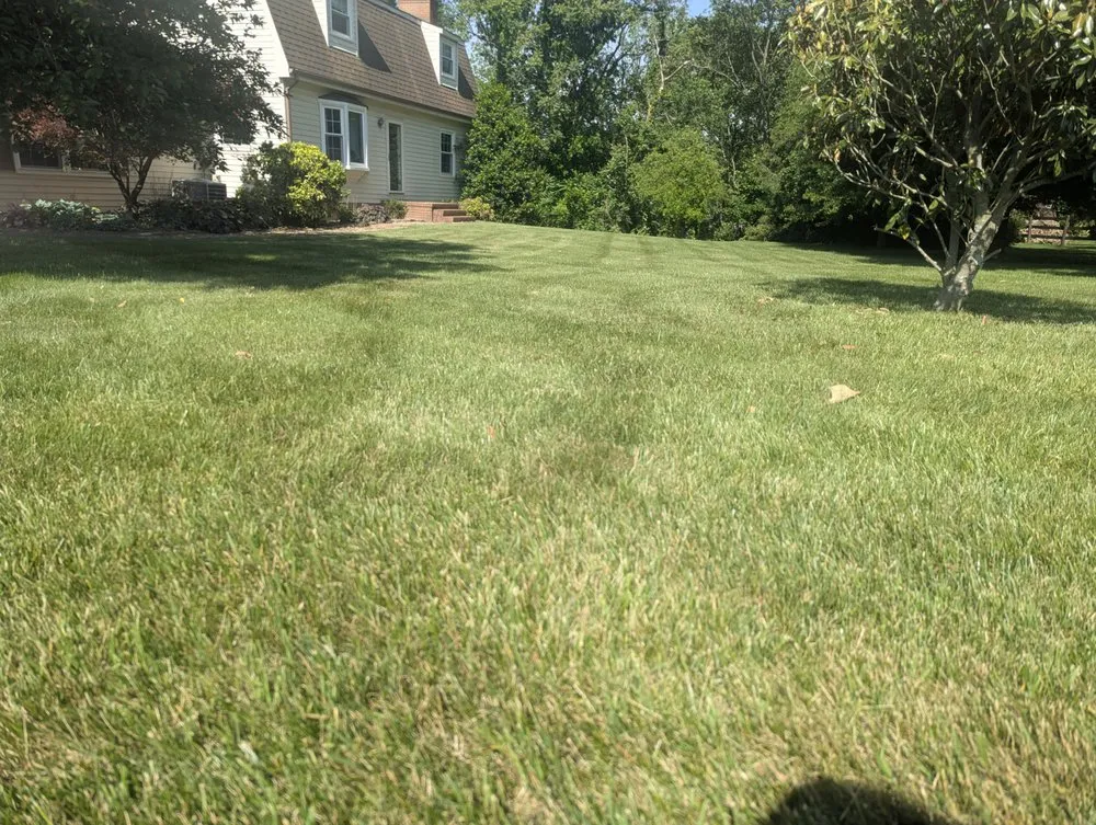 Reliable yard maintenance in Bridgewater, VA - First Class Lawn Care