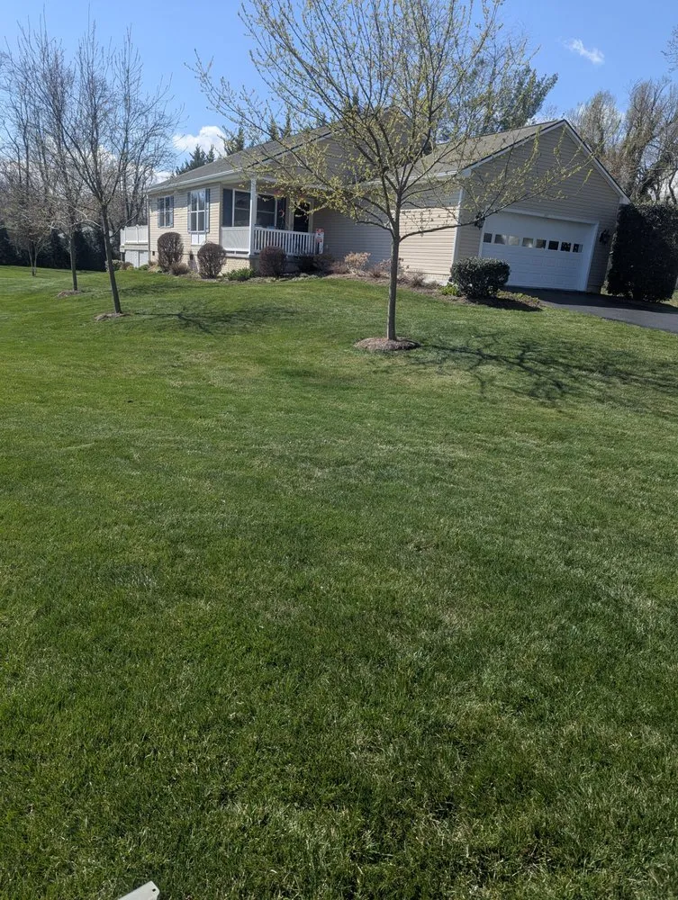 Custom yard maintenance in Bridgewater, VA - First Class Lawn Care