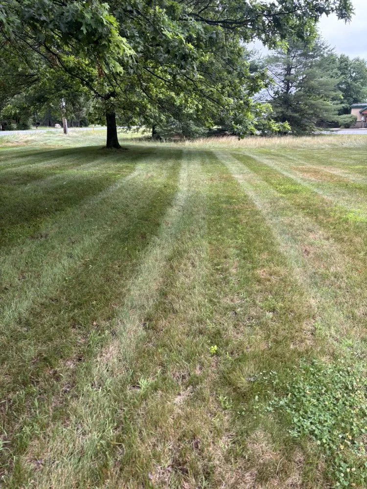 Reliable landscaping services in Hudson Falls, NY - First Class Lawn Care