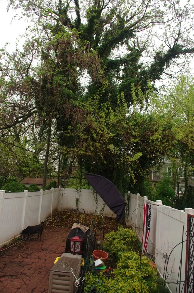 Trusted landscape installation in Wilmington, DE - First Class Lawn Care