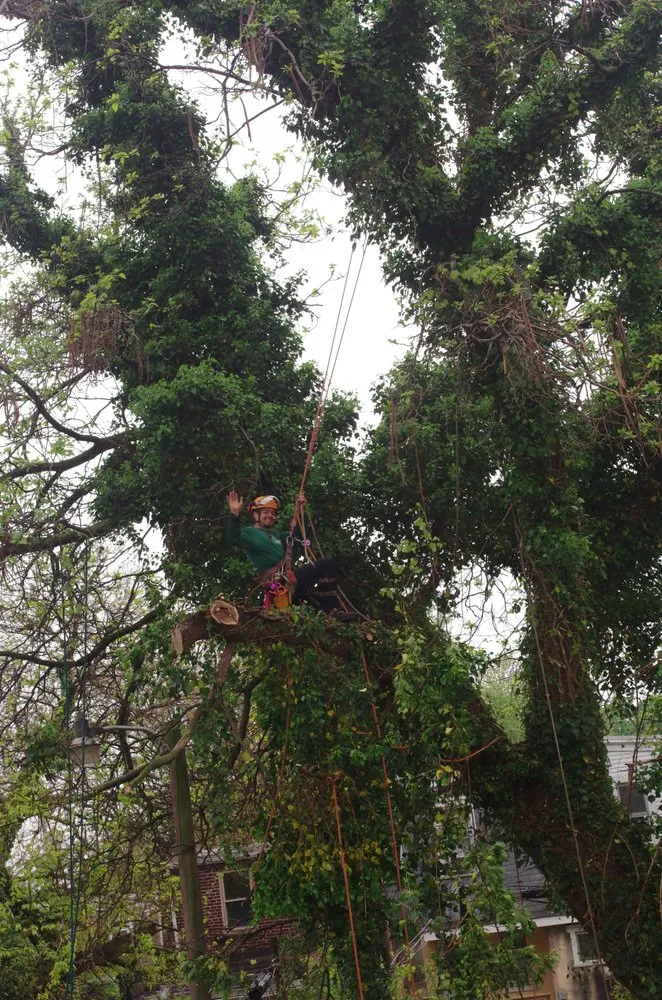 Top-rated outdoor landscaping in Wilmington, DE - First Class Lawn Care