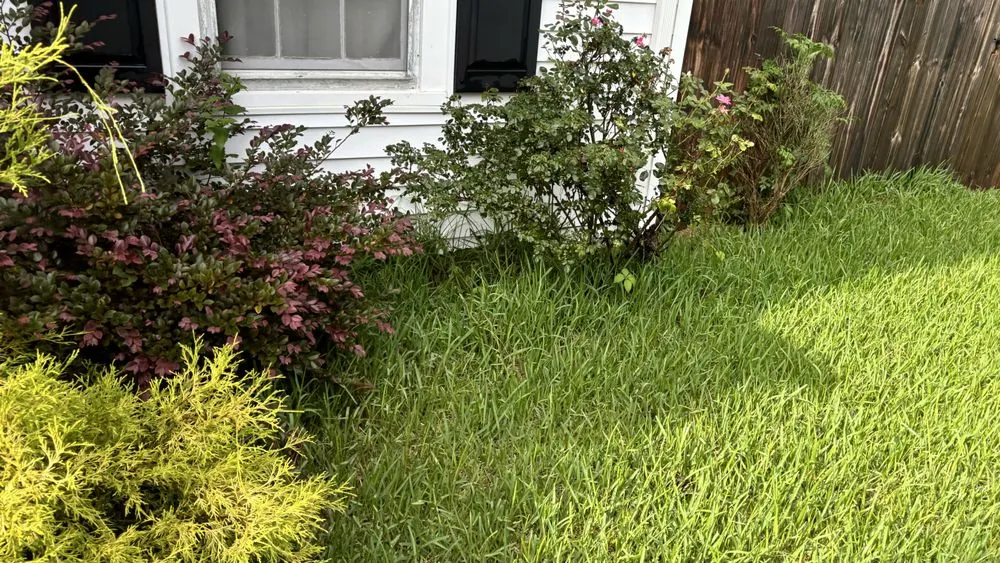 Top-rated yard cleanup service for residential properties across Chesapeake, VA - First Class Lawn Maintenance