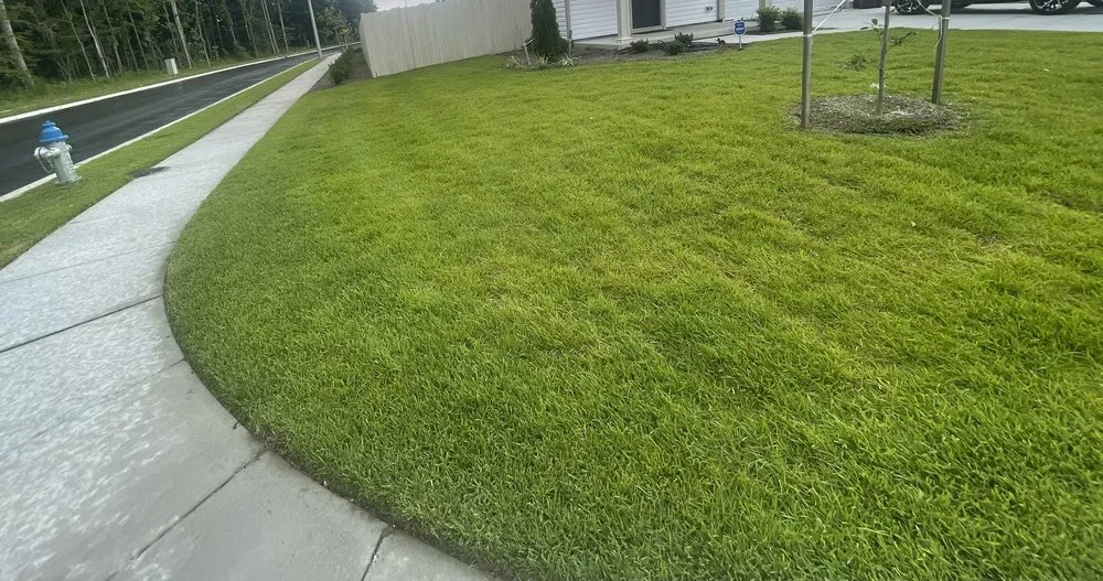 Trusted lawn mowing service in Chesapeake, VA by First Class Lawn Maintenance