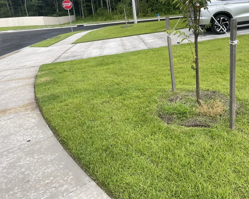 Professional lawn care service experts serving Chesapeake, VA - First Class Lawn Maintenance