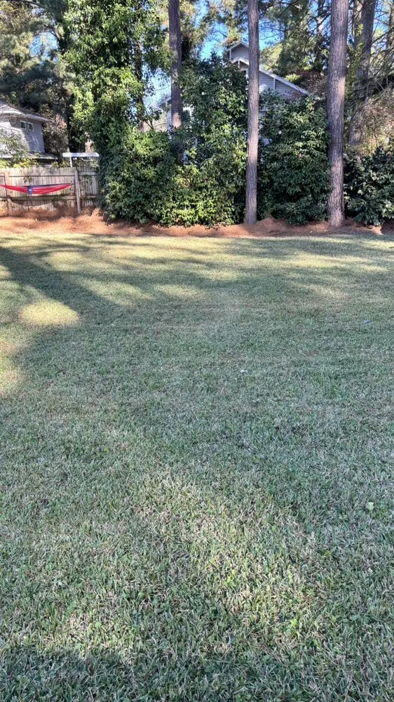 Top-rated residential landscaping for homes in Chesapeake, VA by First Class Lawn Maintenance