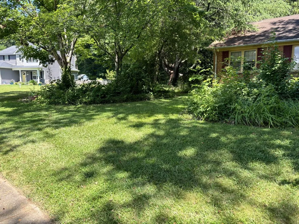 Local landscape installation for year-round maintenance across Chesapeake, VA - First Class Lawn Maintenance