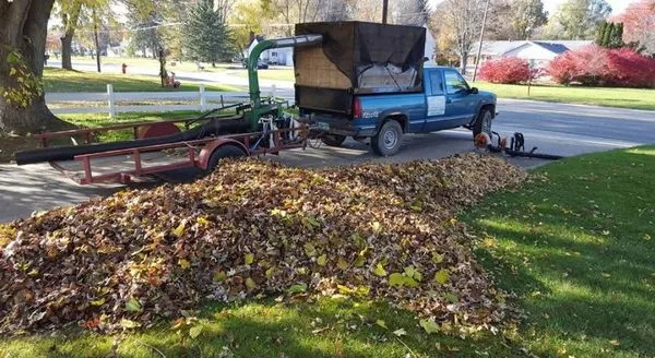 First Class Lawn Maintenance Logo