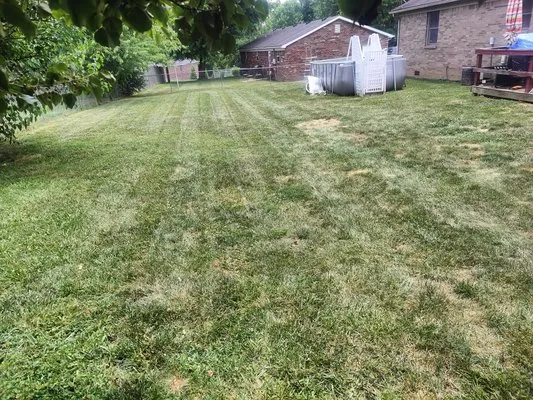 First Class Lawncare Logo