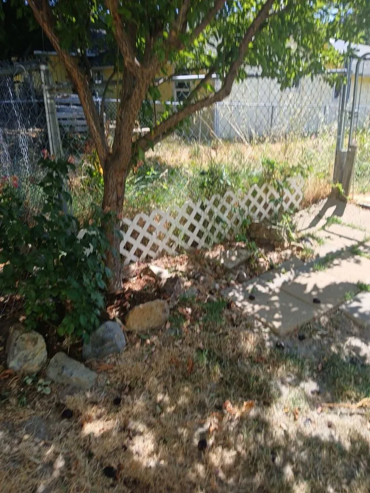 Expert landscape design in Grants Pass, OR - First Class Yards