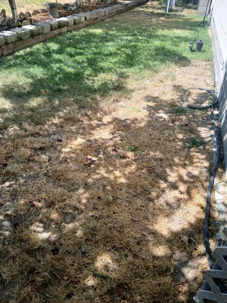 Professional landscaping services for outdoor upgrades in Grants Pass, OR by First Class Yards