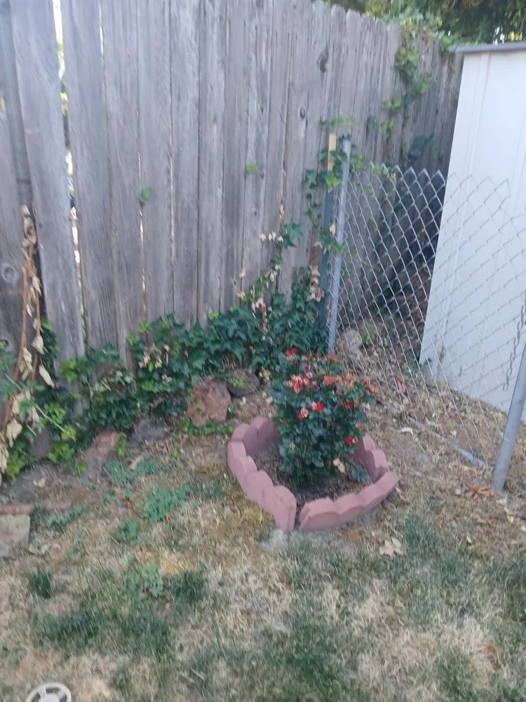 Top-rated yard maintenance in Grants Pass, OR by First Class Yards